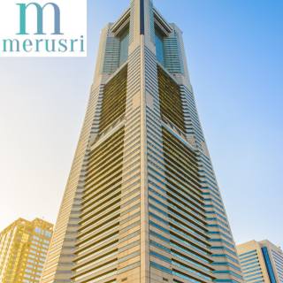 Merusri Group Logo